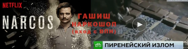 гидра Богородск