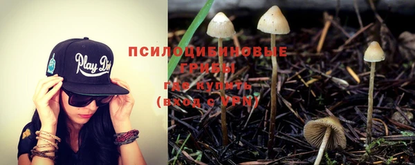 мдпв Бронницы